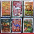 /album/camel/box-25-jpg/